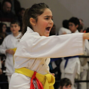 i piccoli di karate Alfieri a Vercelli per il 28° Trofeo Yanagi